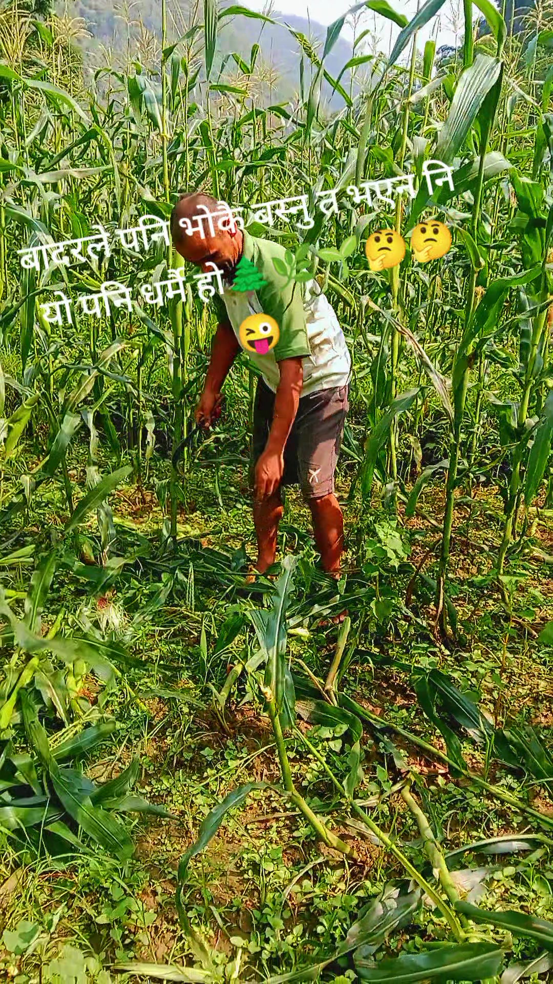 @Krishna Adhikari