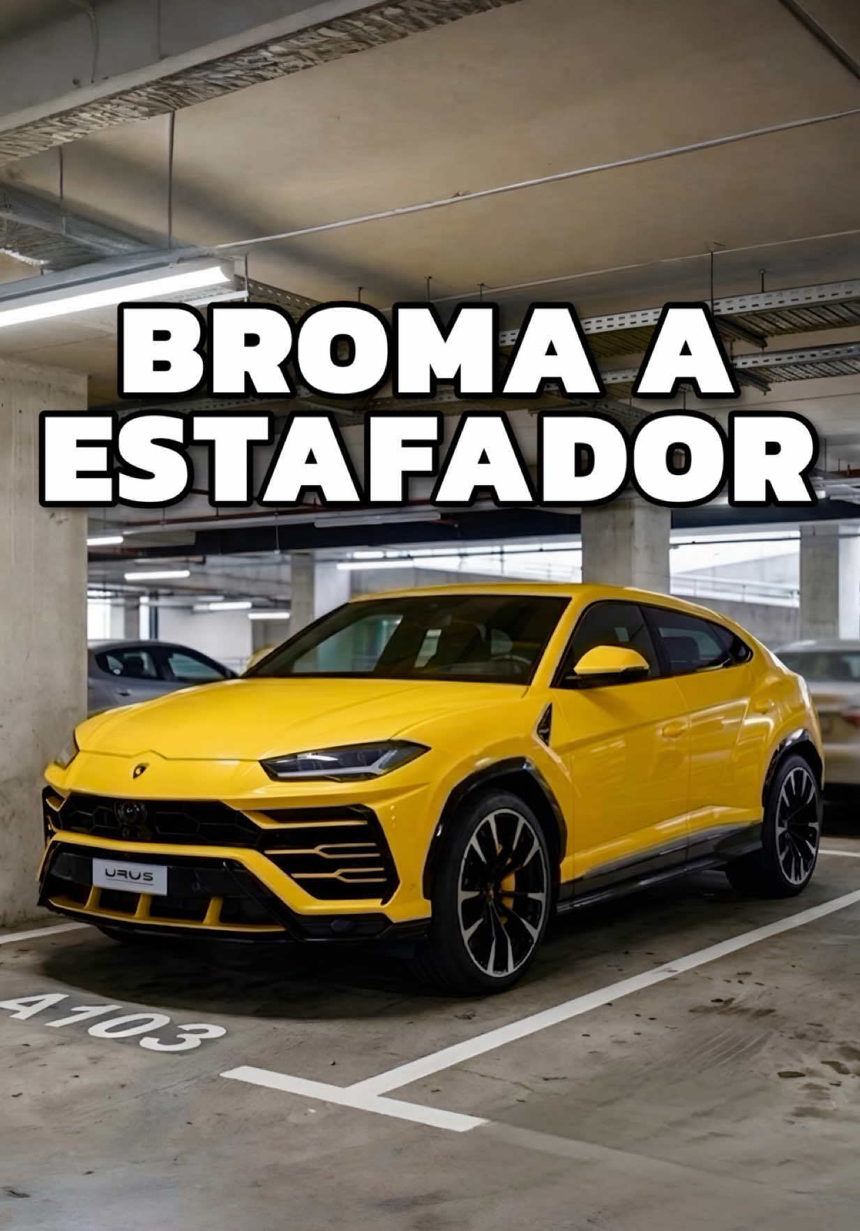 @José Miguel Ross