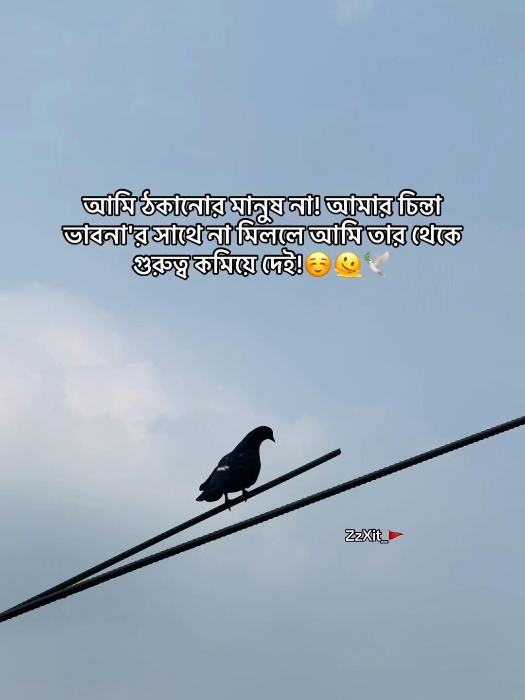 @ZzXit_đŠ