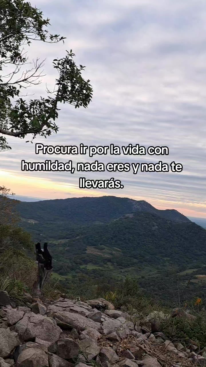 @Micaa