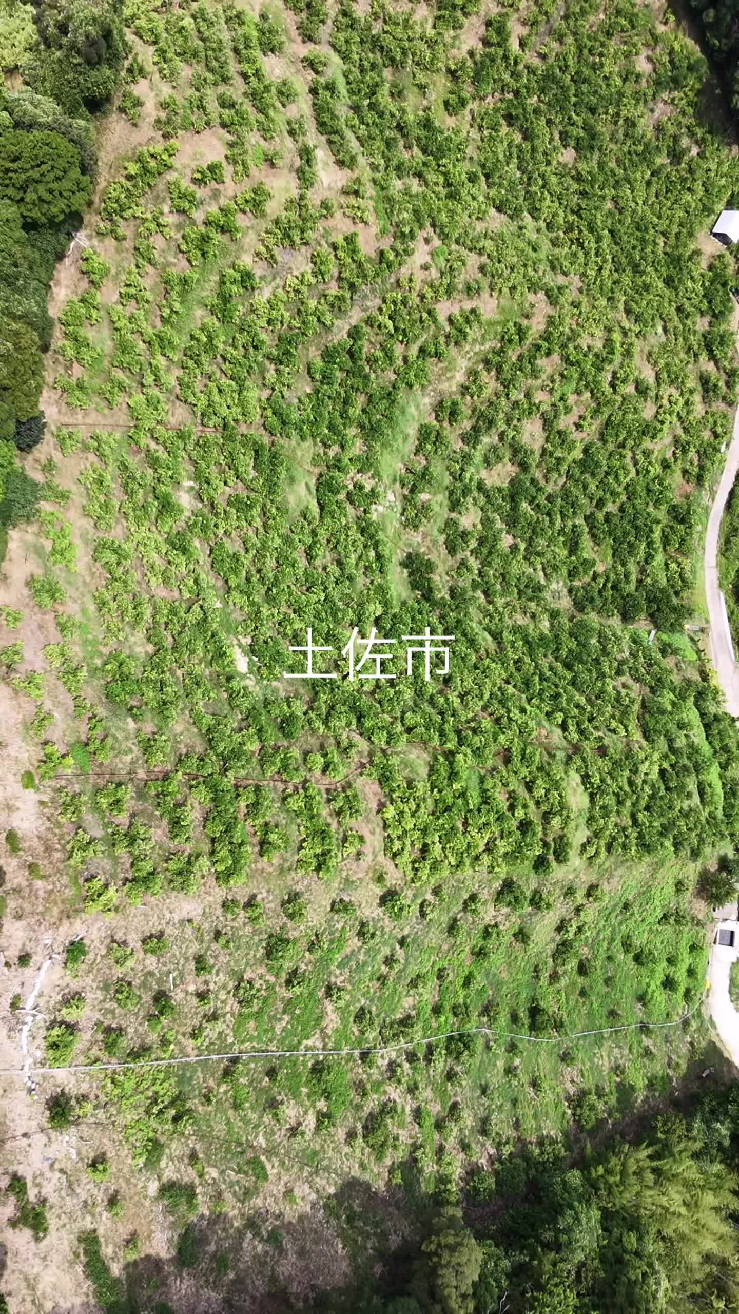 @ã¶ãããðð«