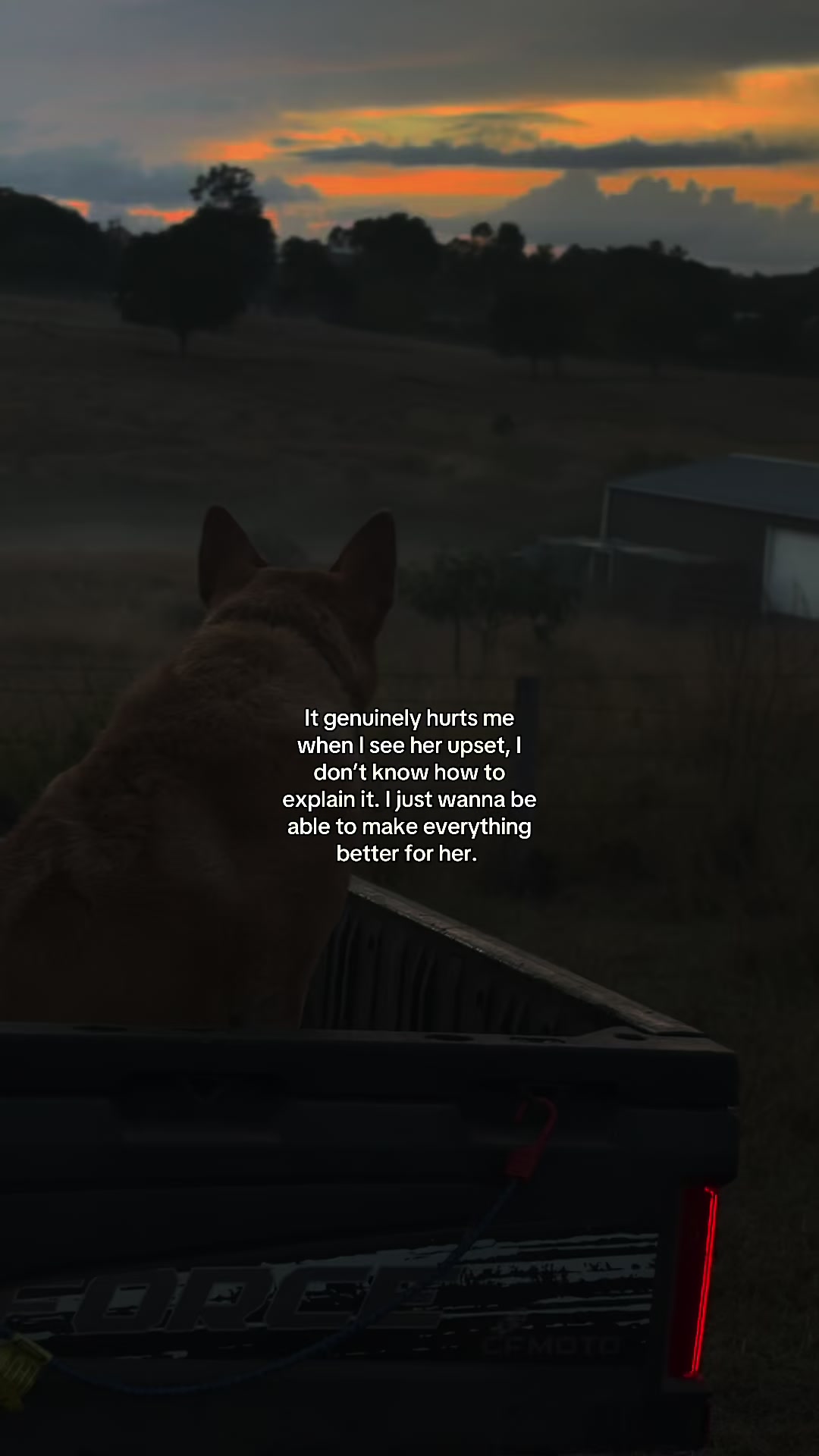 @Mike