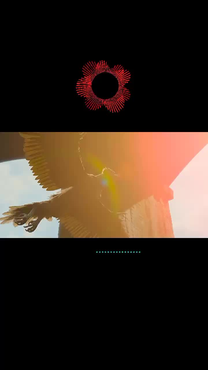 @𝐅𝐔𝐍 𝐌𝐀𝐒𝐓𝐘🕺