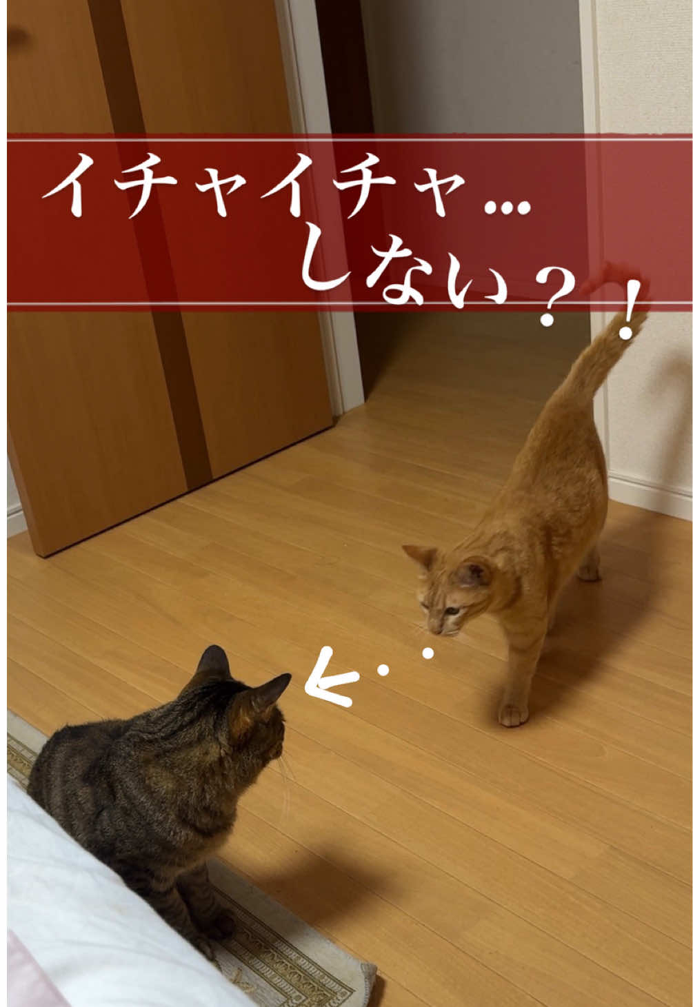 @さっことおちょ