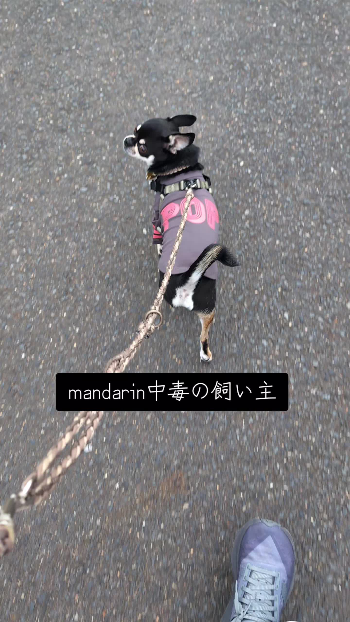 @ZEN