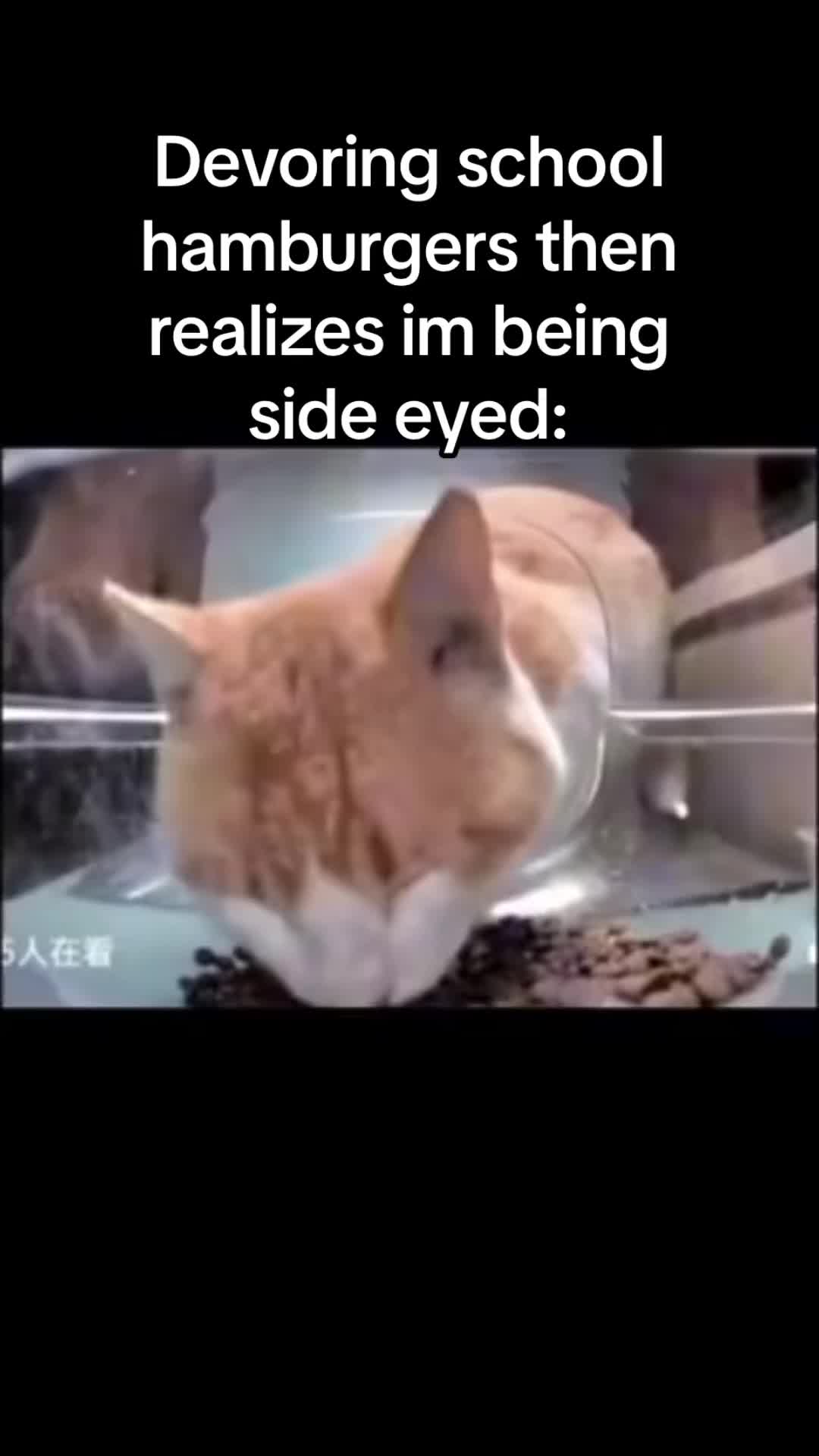 @Ai cheetah