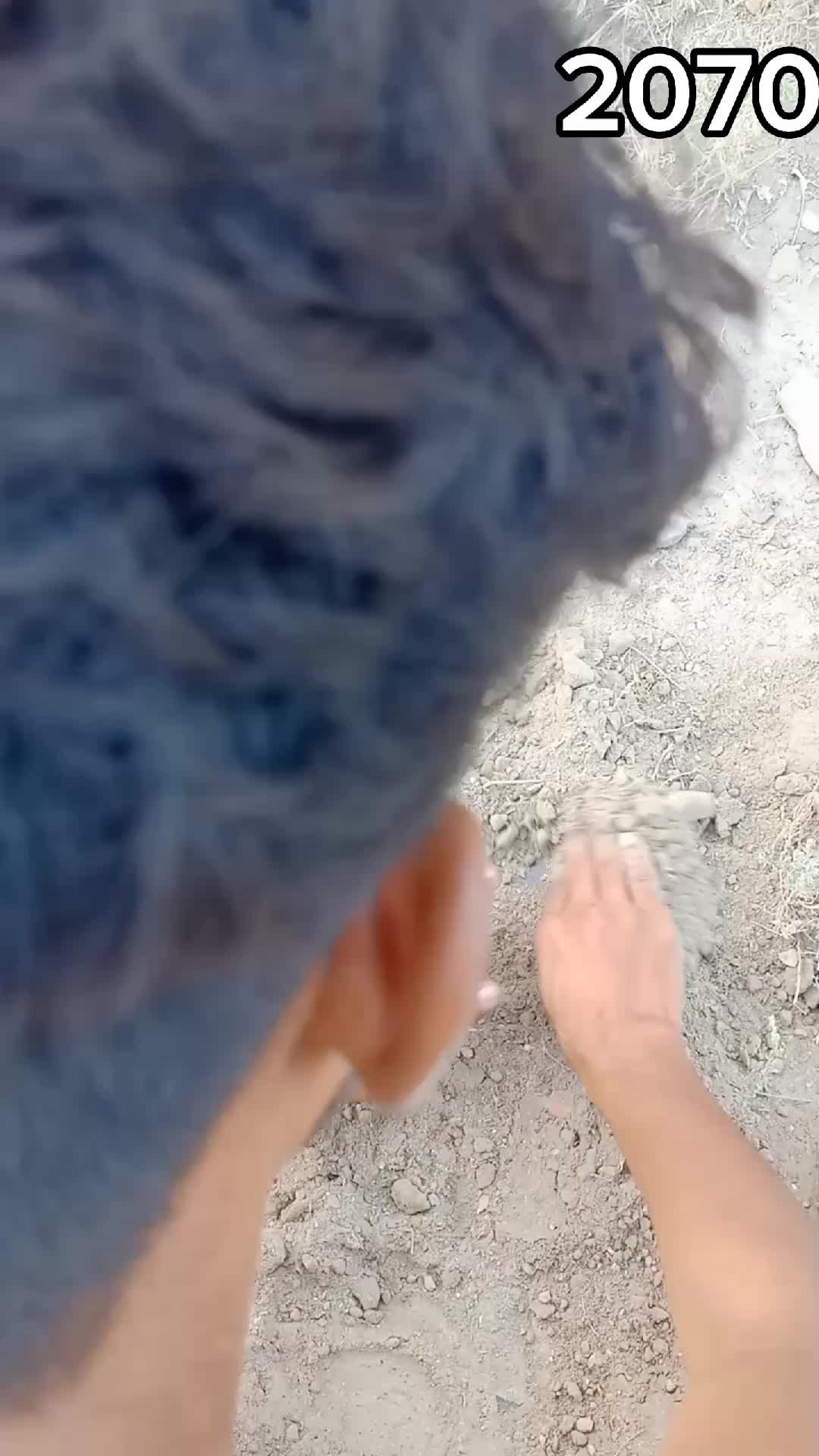 @Pakistani__Bois