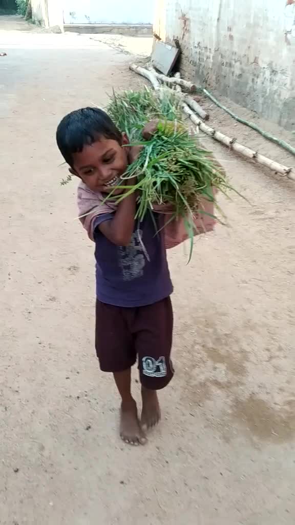 @Ajit Bariha
