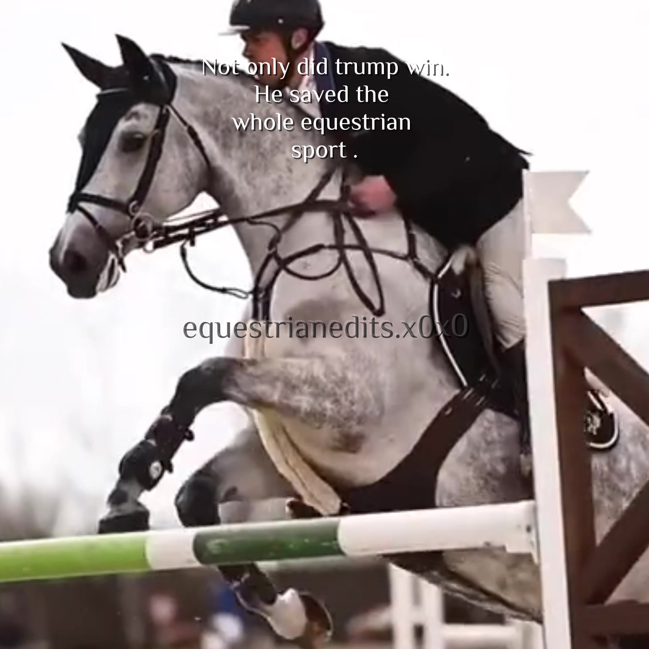 @{𐂃EquestrianEdits.X0X0𐂃}