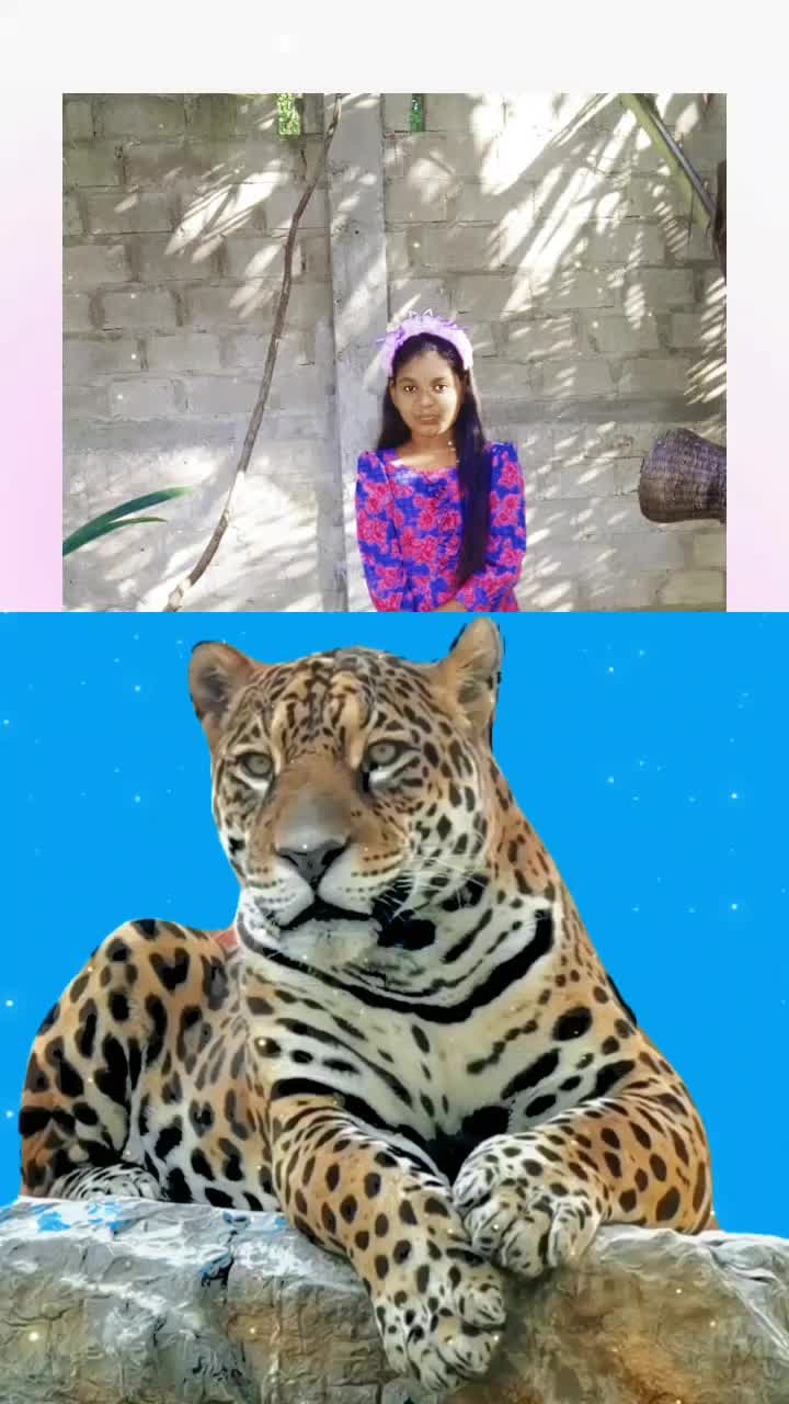 @Varshu Varshith
