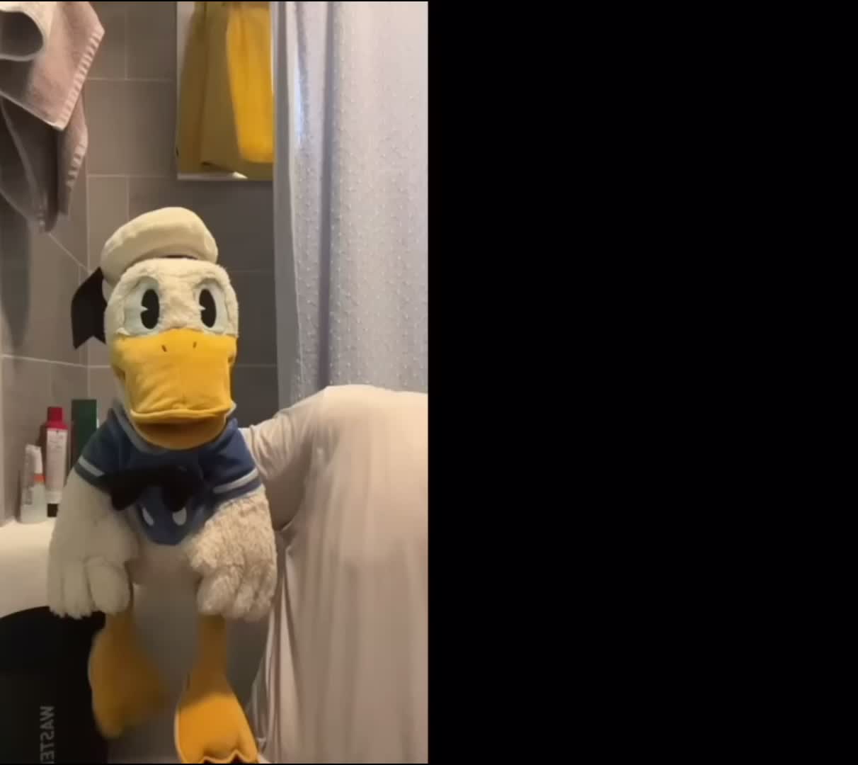 @DonaldDucc Archive ✅