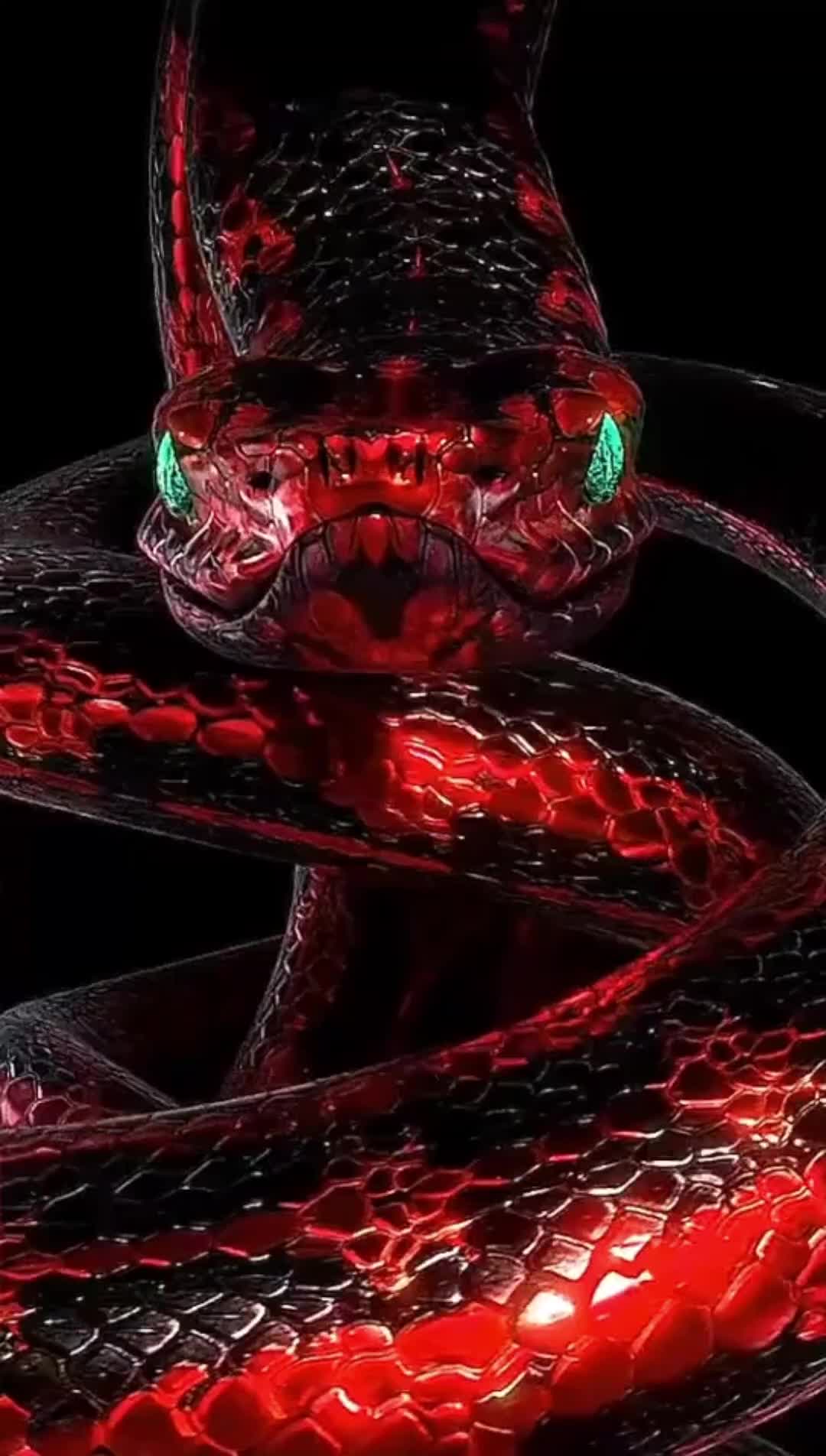 @kaieberhardt225
