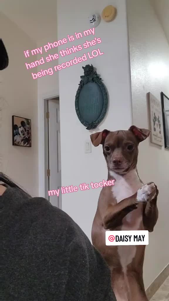 @DAISY MAY