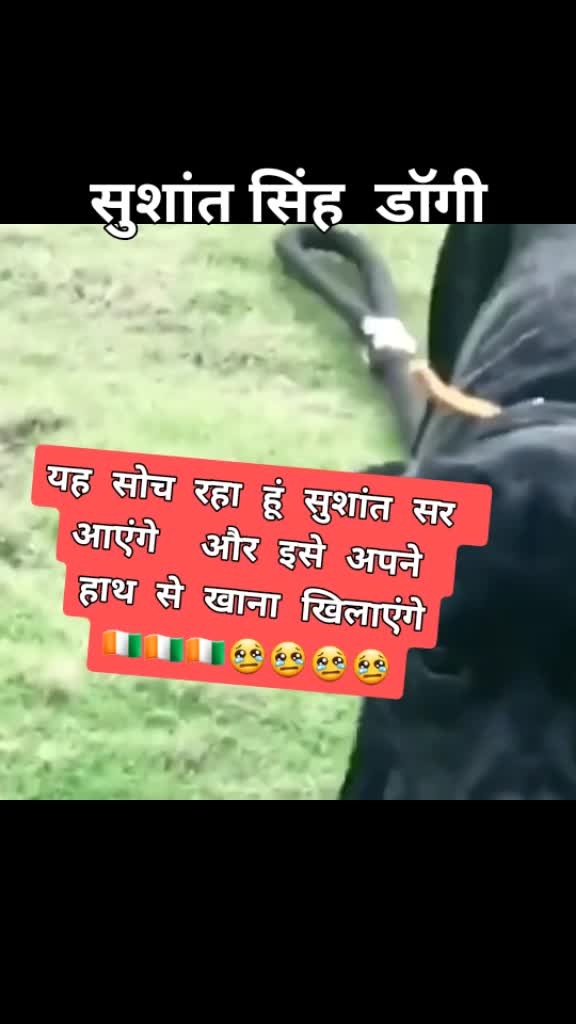 @Vijay chouhan