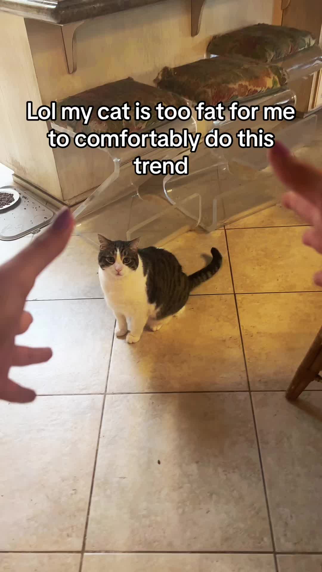 @Gab
