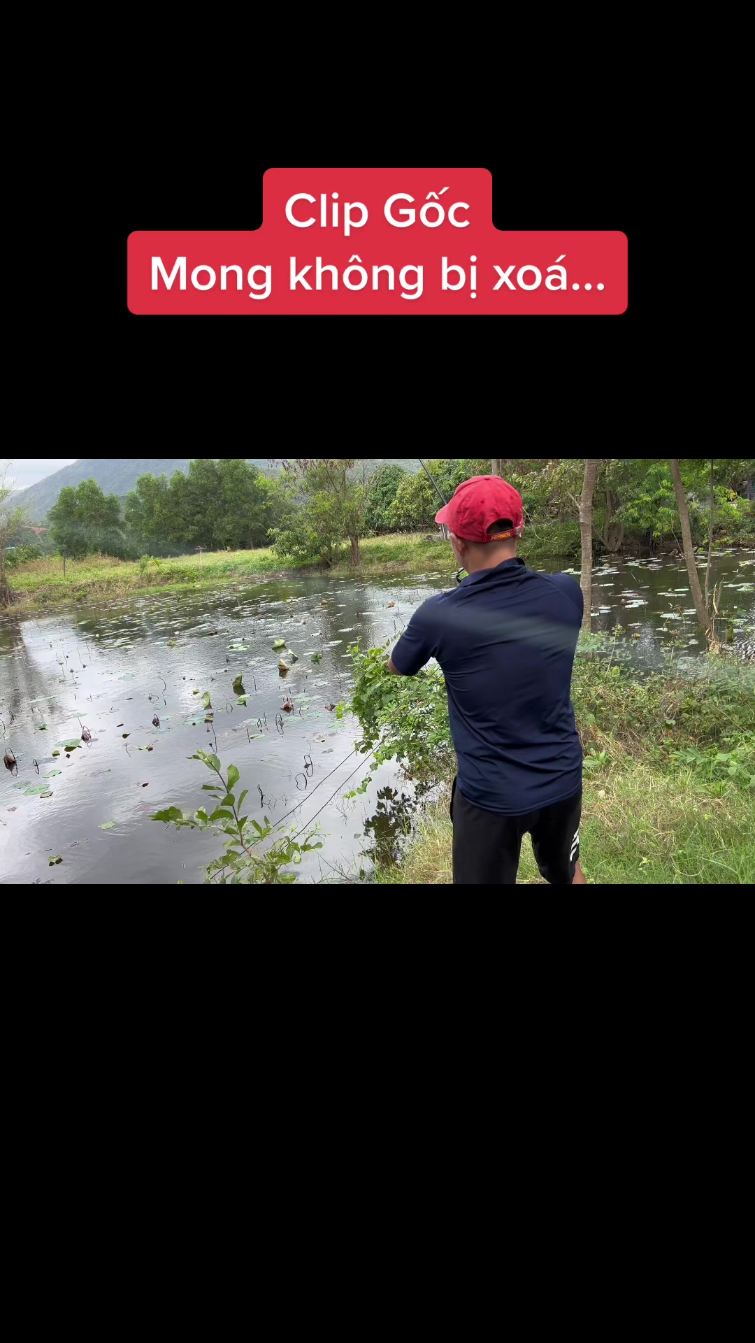 @Cuboi_longthanh