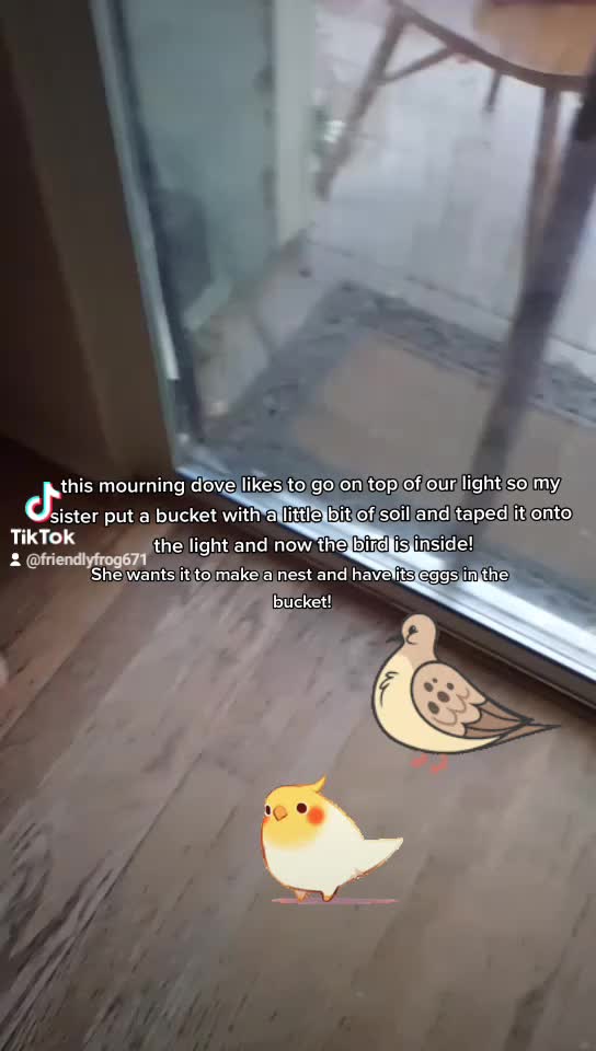 @AnonymousAlienThingz