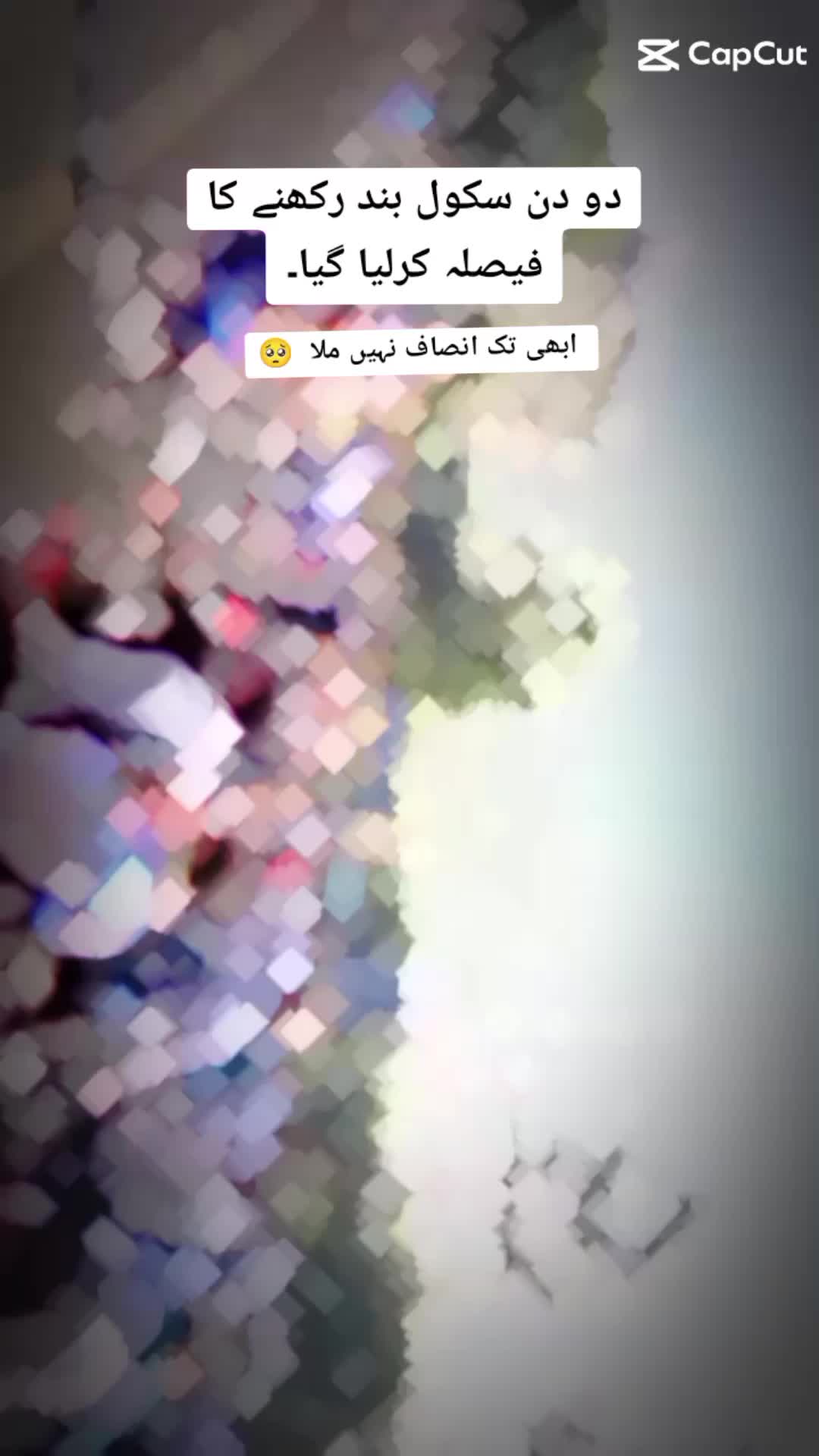 @Ali Ahmad 777