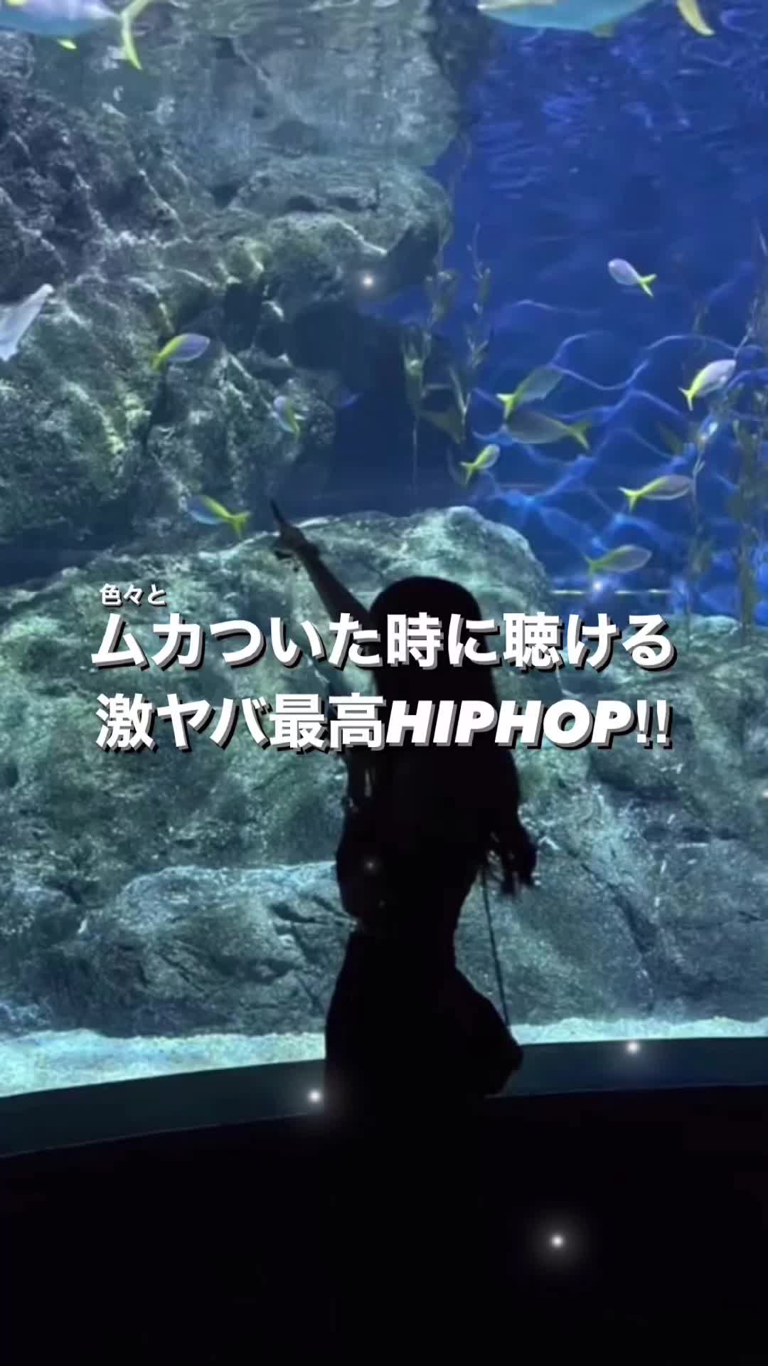 @シャンクスのおすすめMUSIC!!