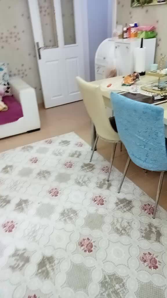 @hayal akbaş