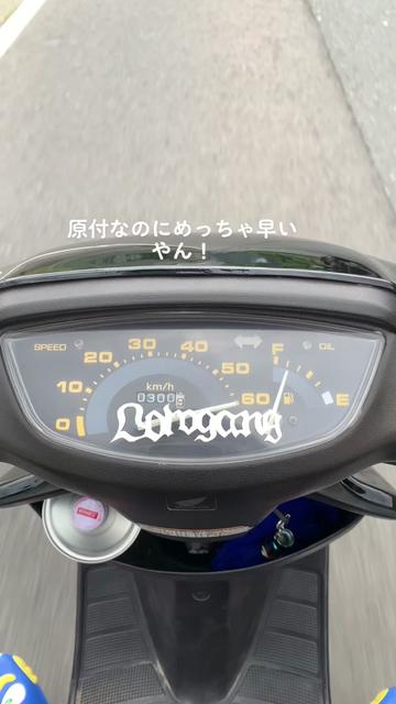 @𝕷𝖔𝖜𝖌𝖆𝖓𝖌