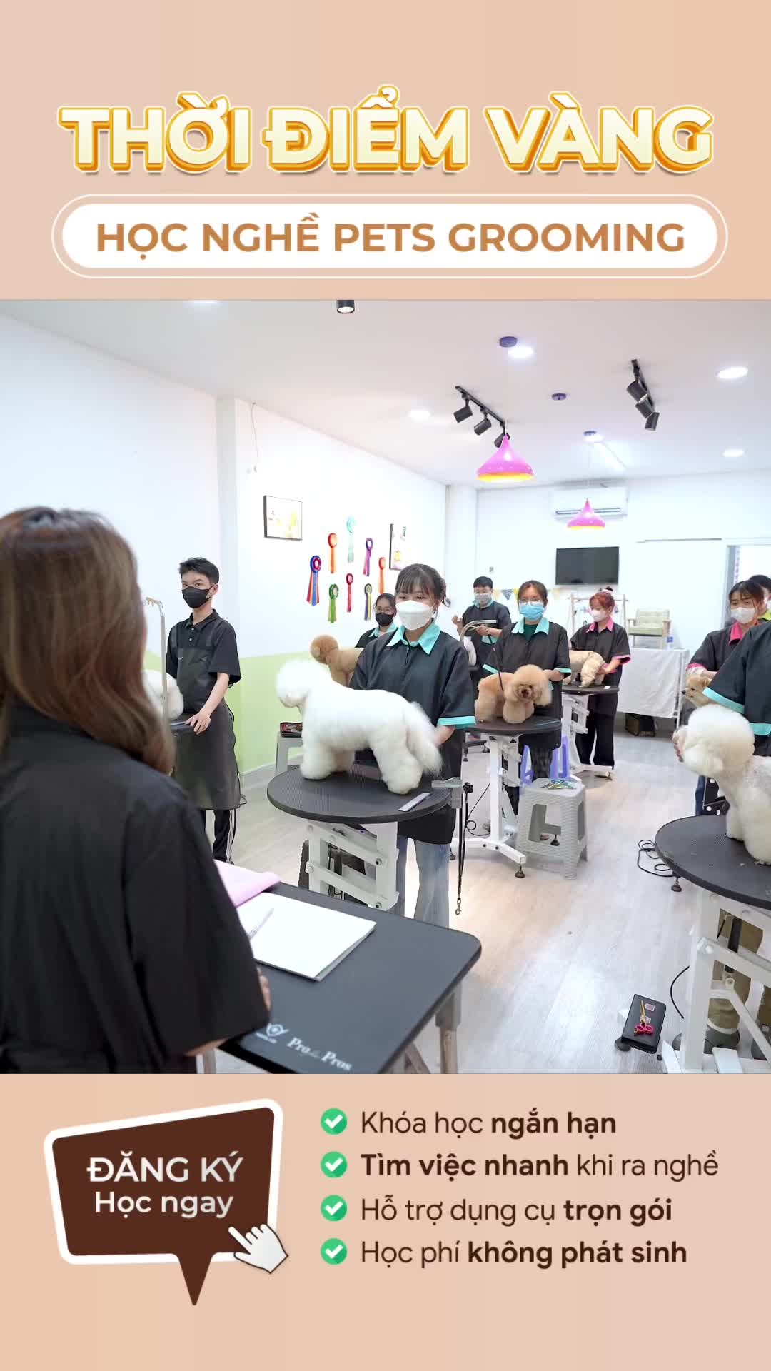@TuongVan Petstylist