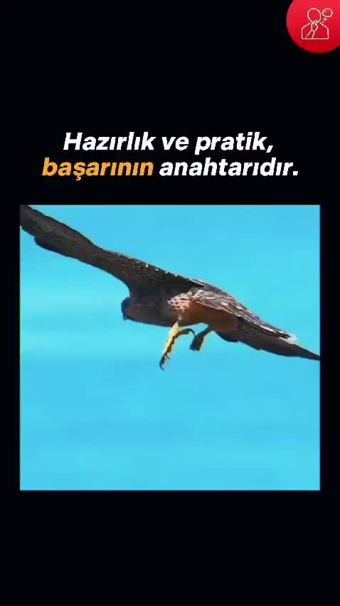 @EFEHAN