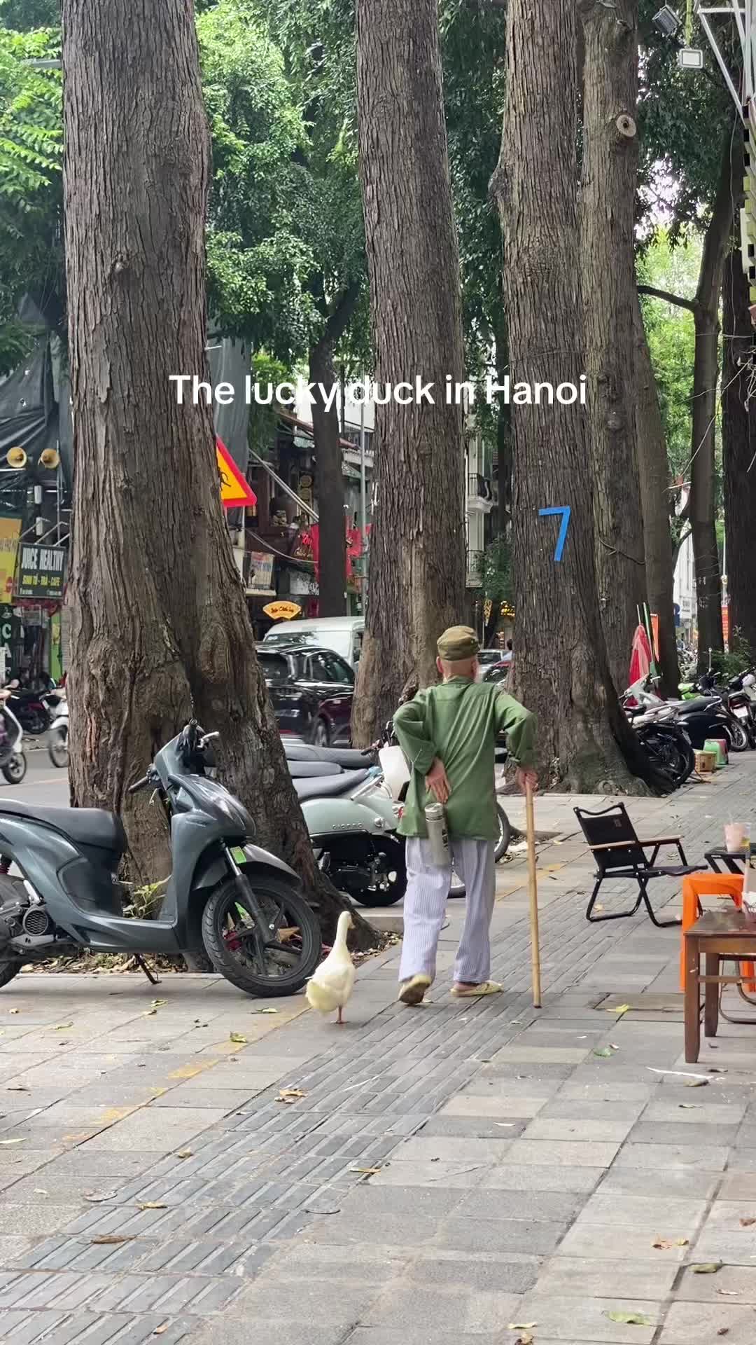 @Ch&acirc;u Yến