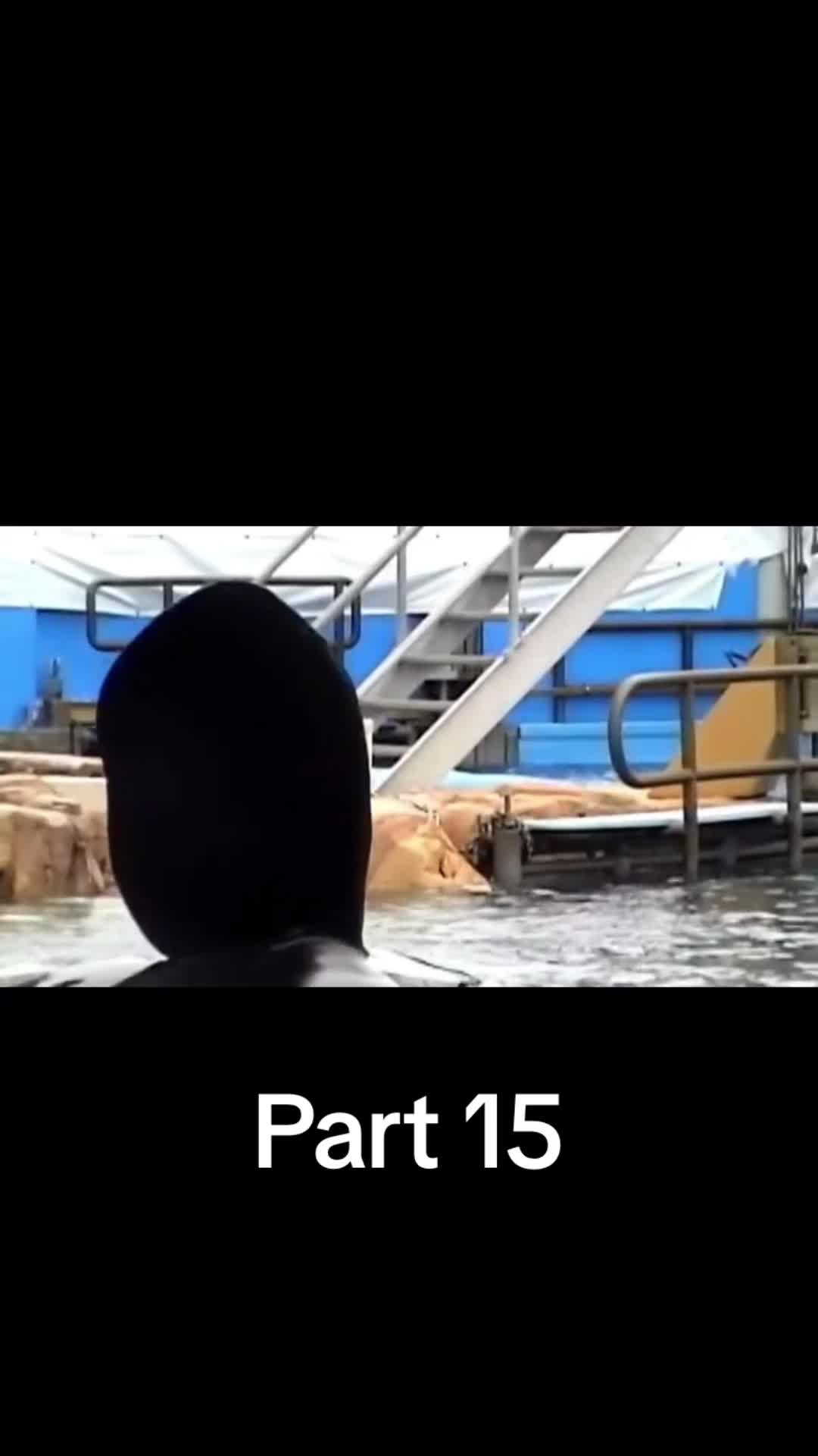@clips