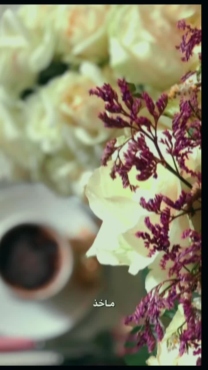 @𝓡𝓸𝓼𝓮 _ⓐ𝓑𝑒Ⓔr🌸🦋