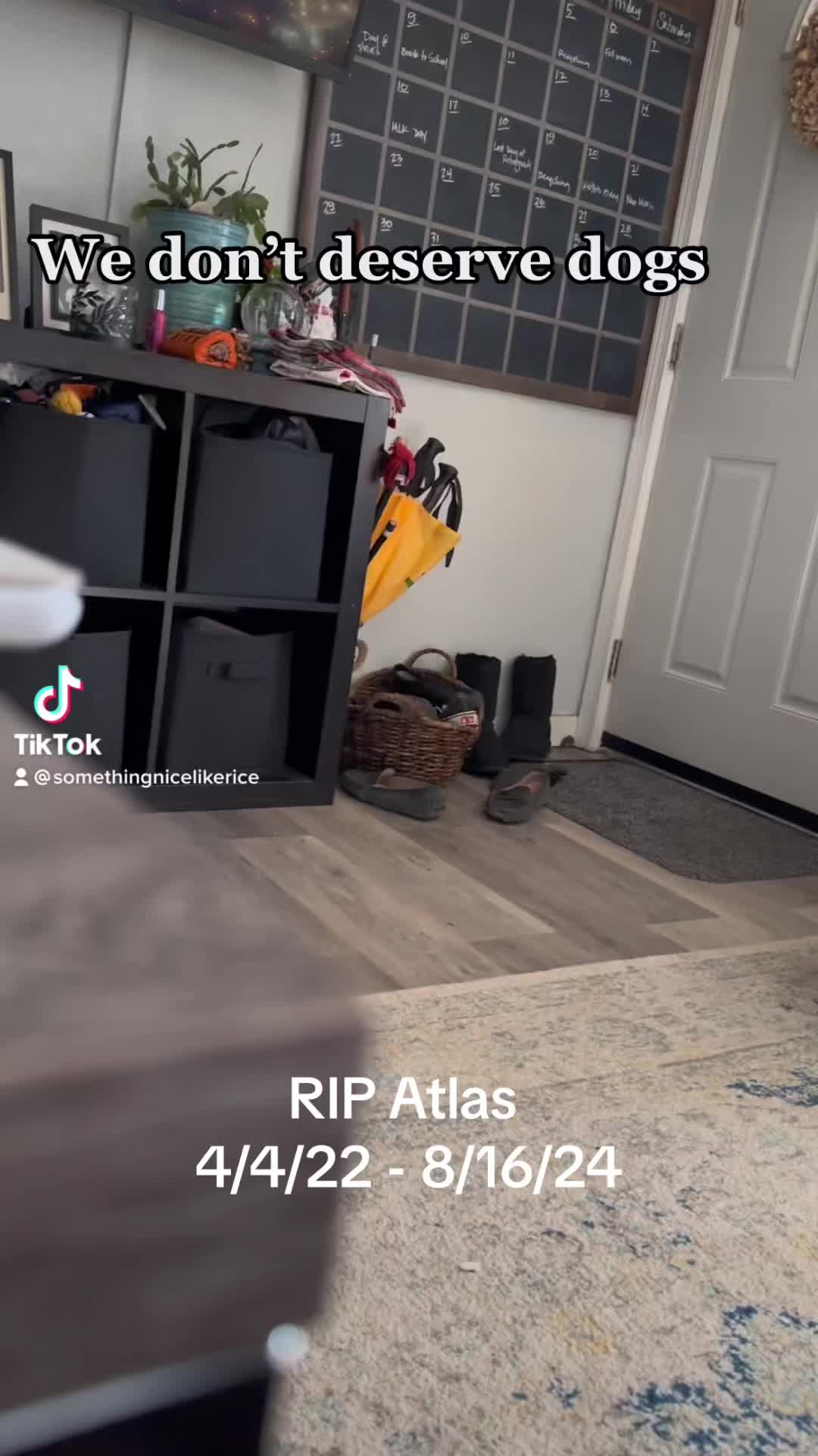 @Somethingnicelikerice