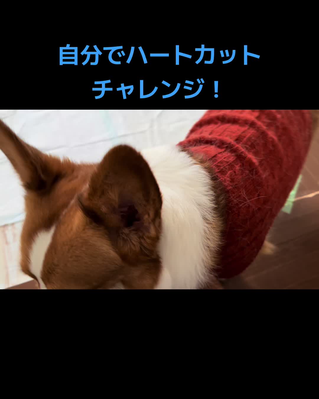 @のん&てん