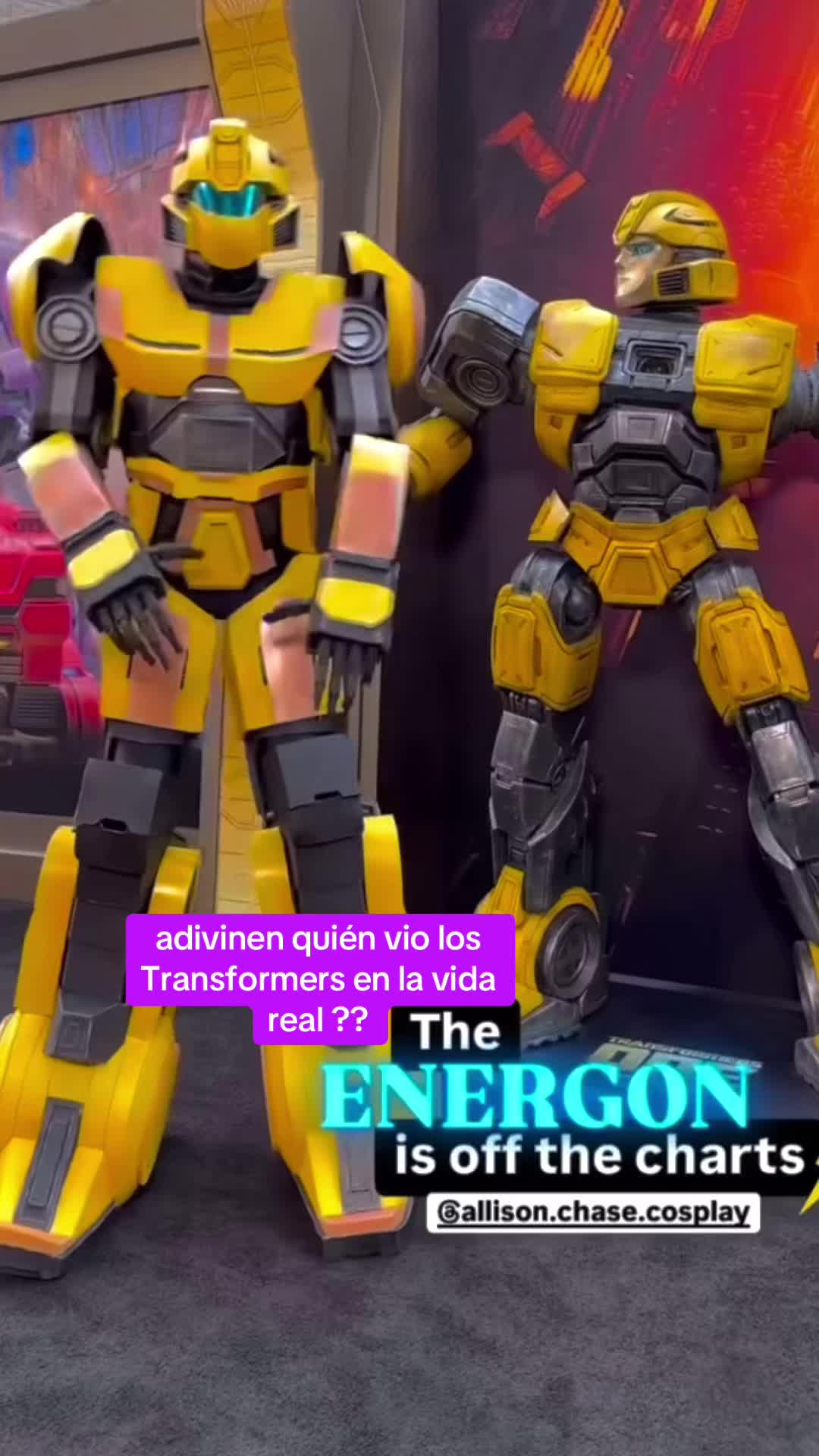 @carola Biglieri