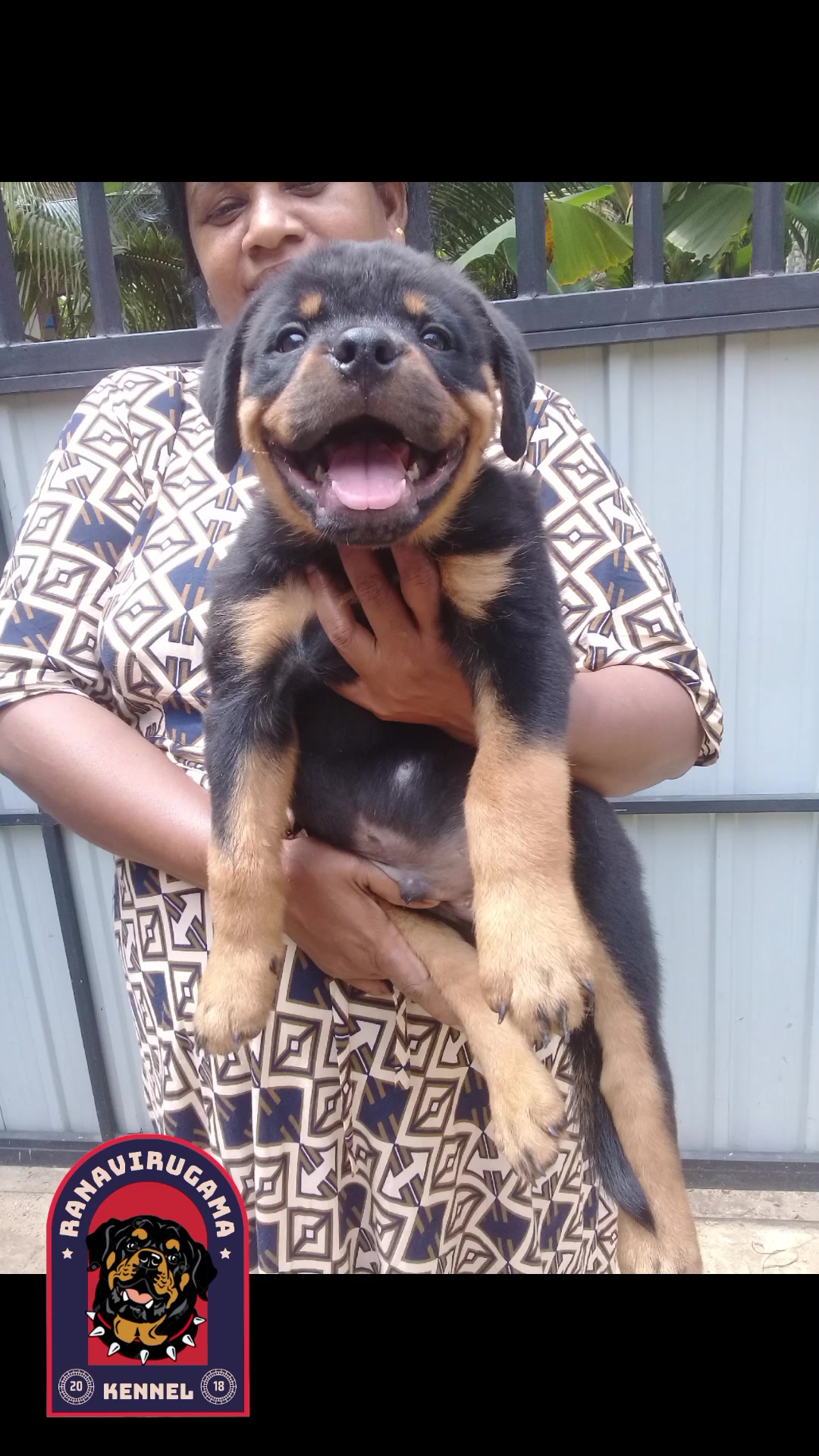 @Ranavirugama Kennel