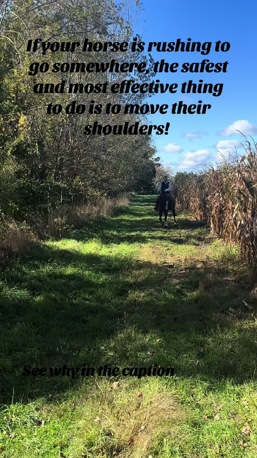 @Sky High Horsemanship LLC