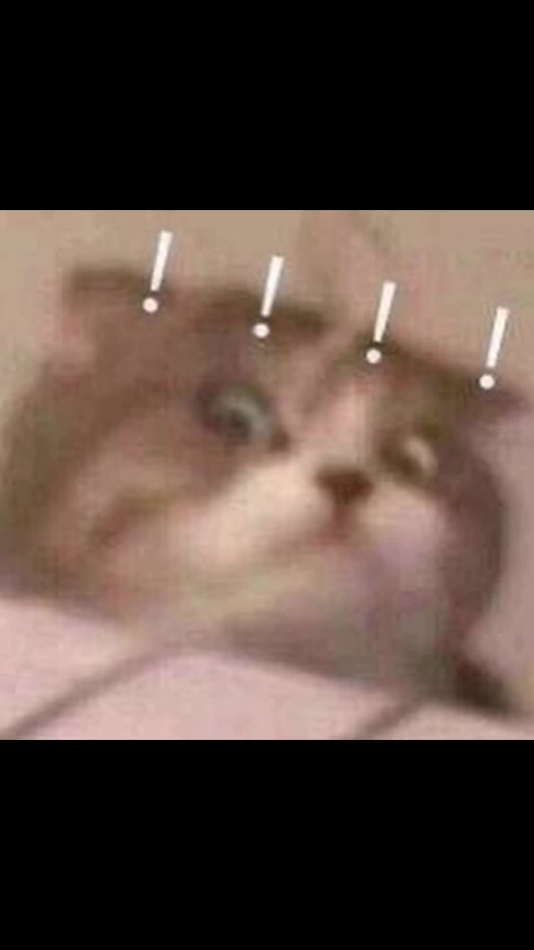 @anne
