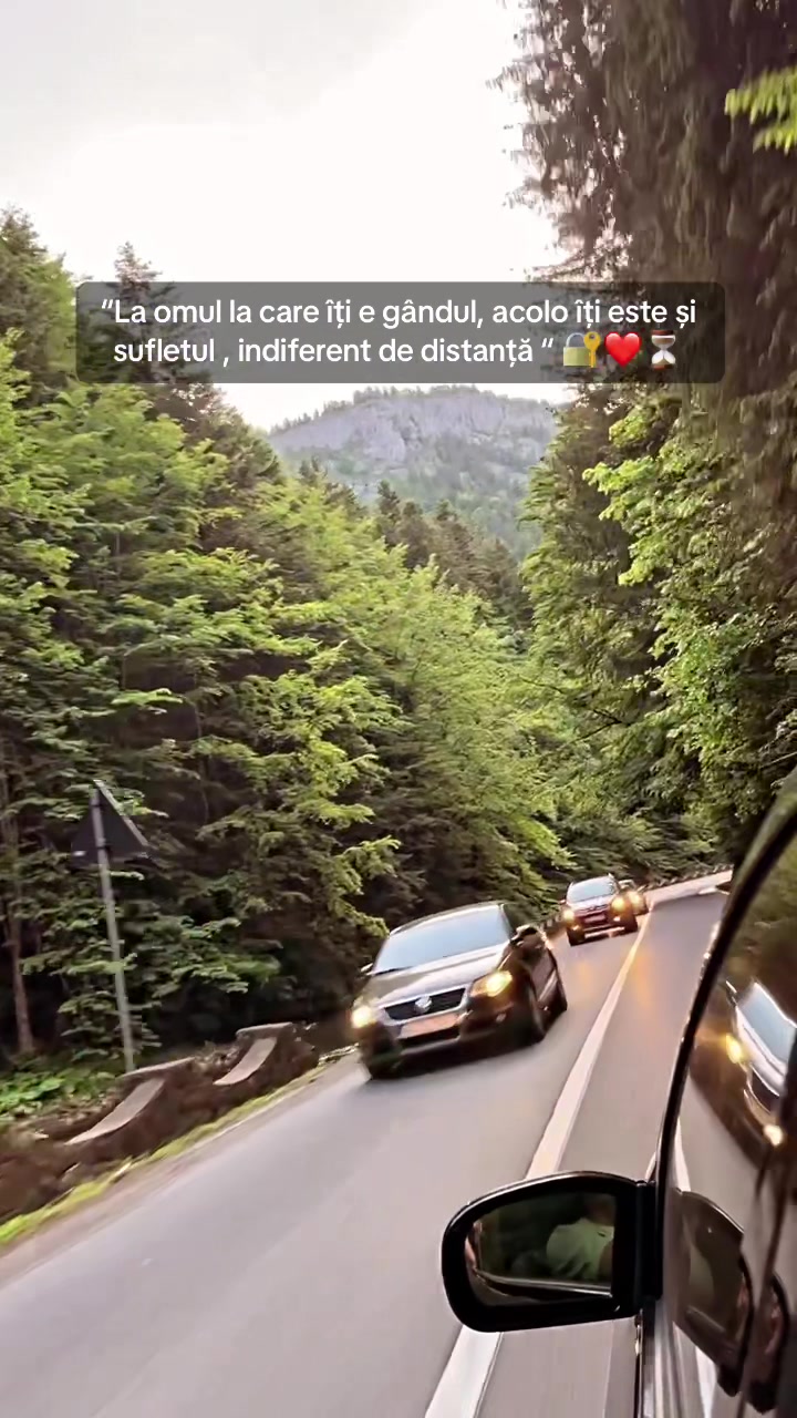 @bistriceanuiasmina