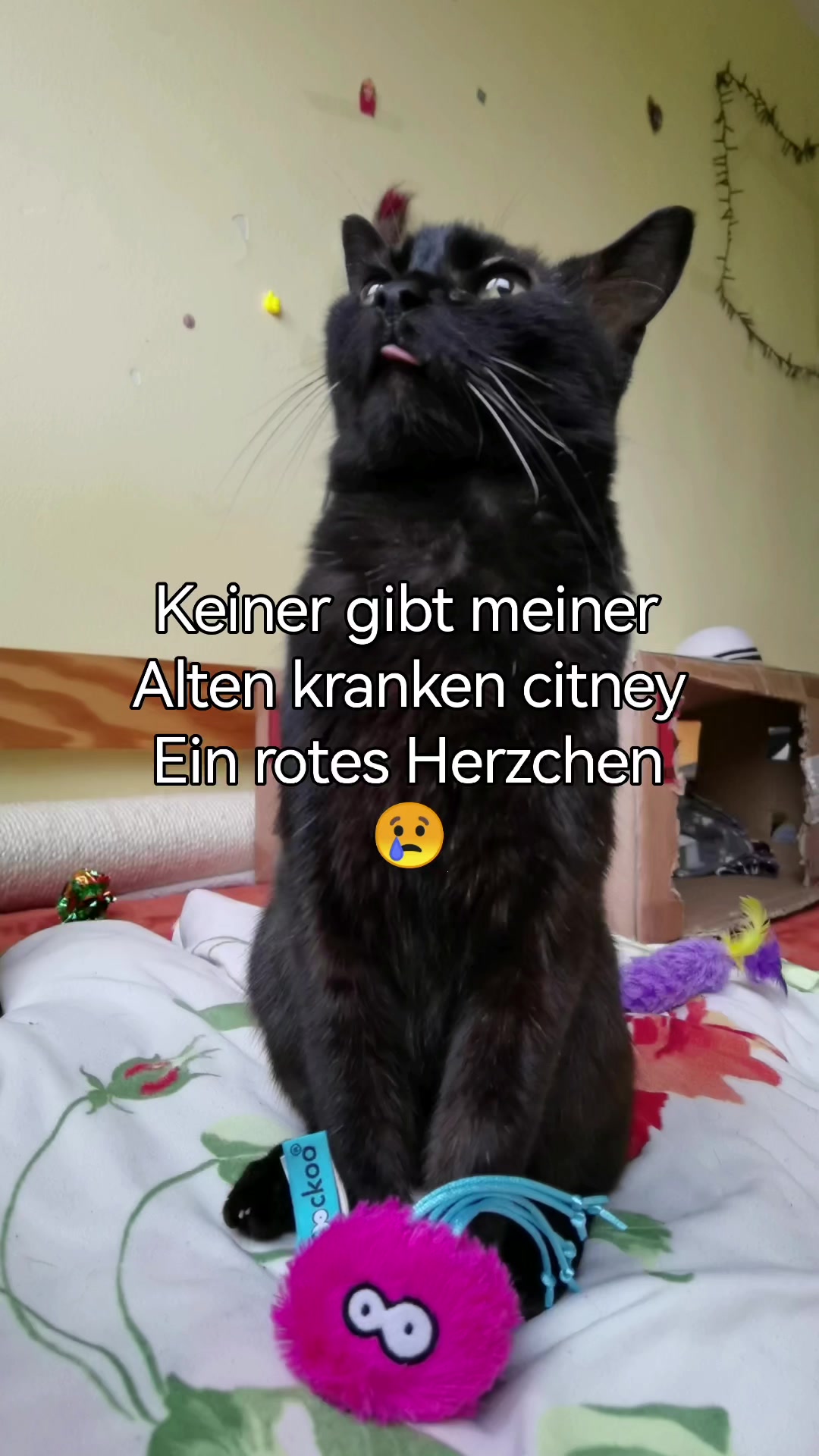 @juli🇩🇪🇺🇸🇷🇺