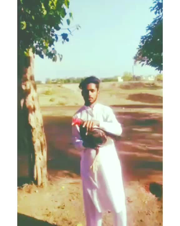 @ZAKI Goldy Ak47