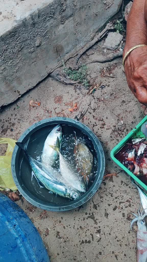 @ಸುನಿಲ್ ಮೊಗವೀರ