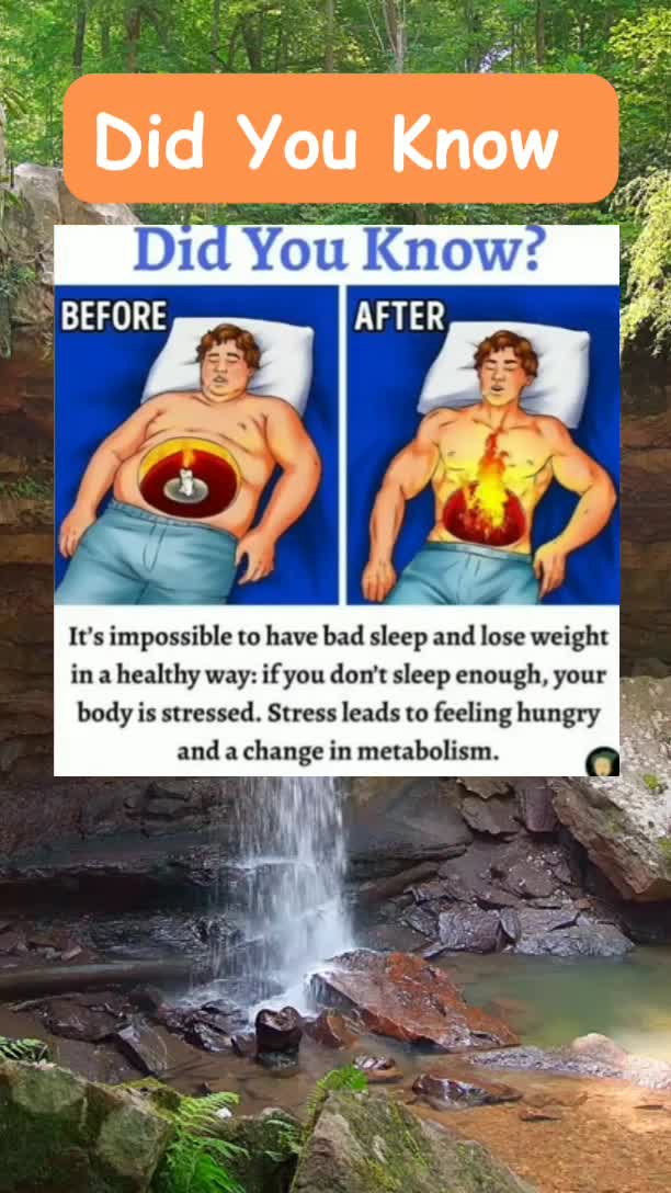 @Wellness Wizdom