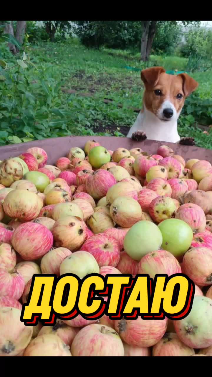 @катятя