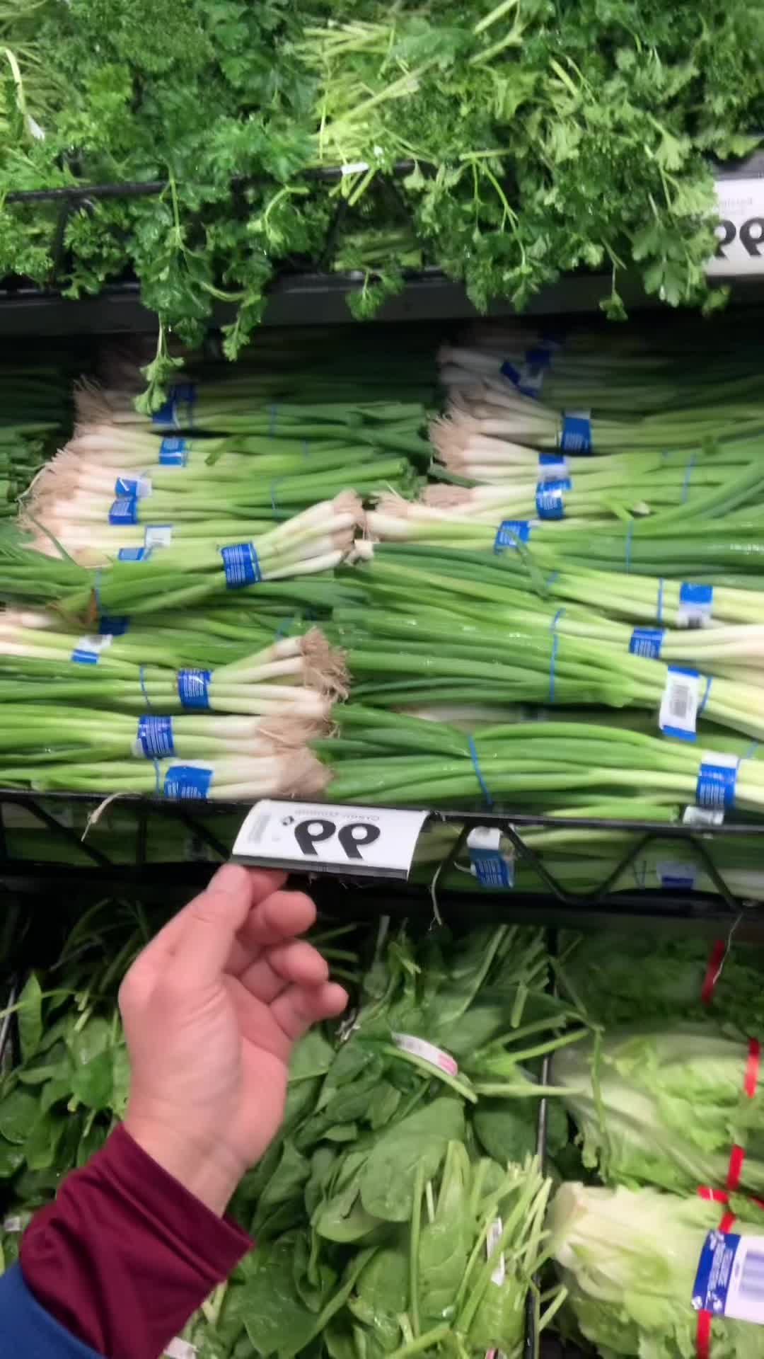 @Mrrice🌾