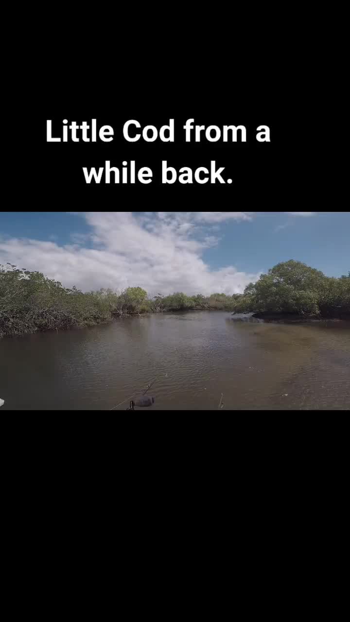 @Jesse