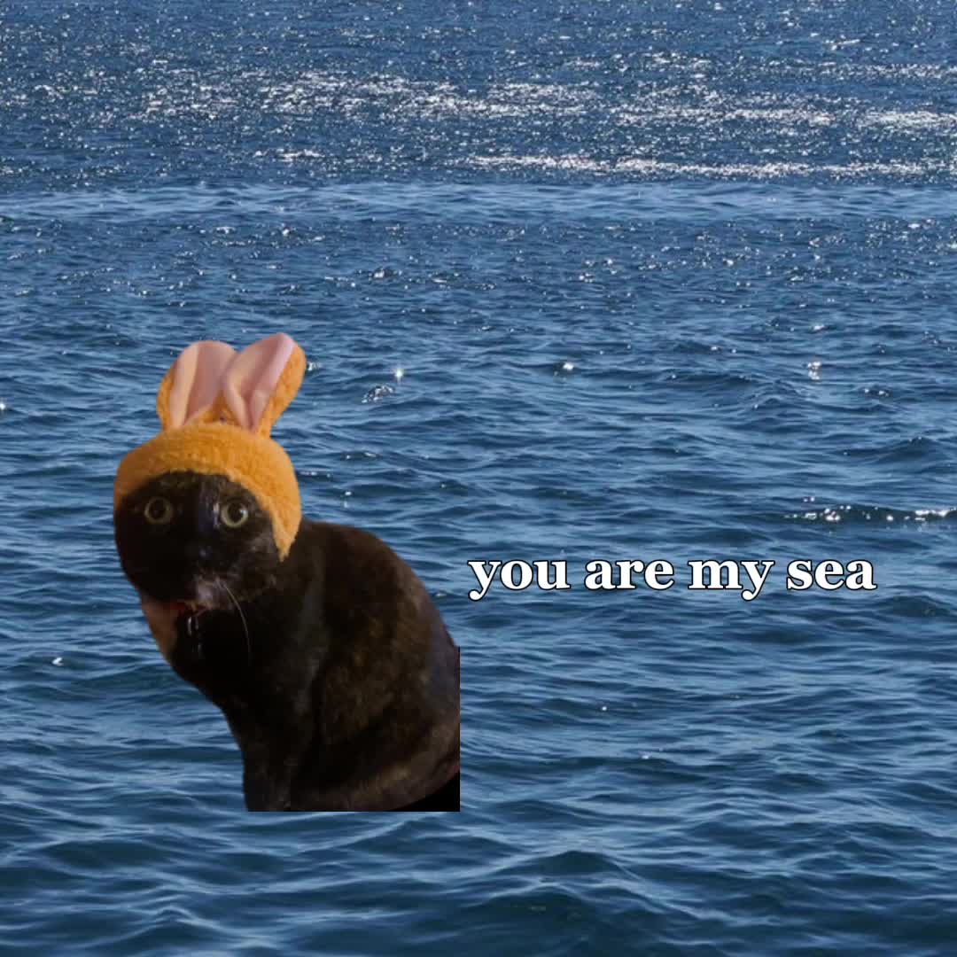 @AmCheerio
