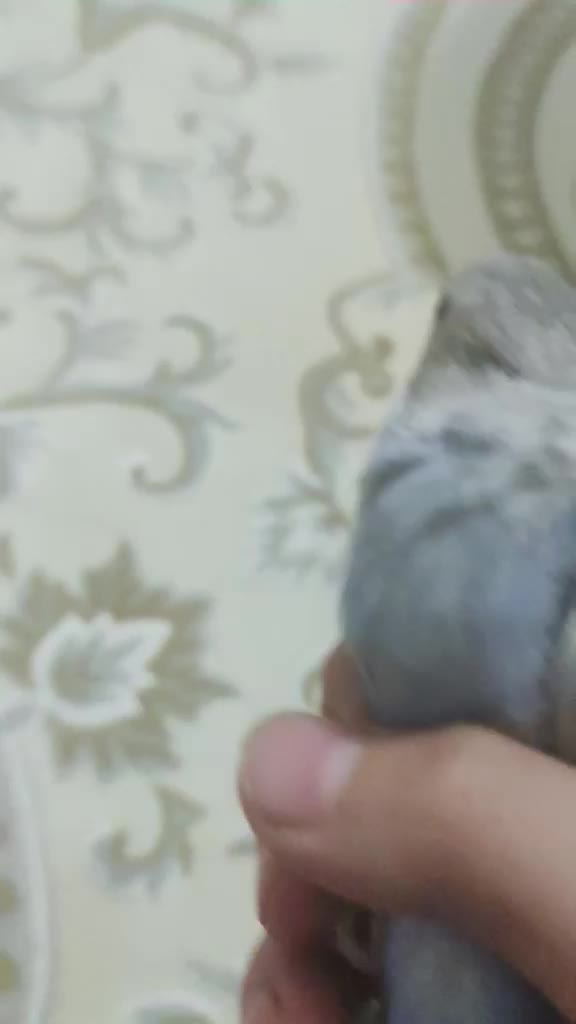 @bilaltekin08