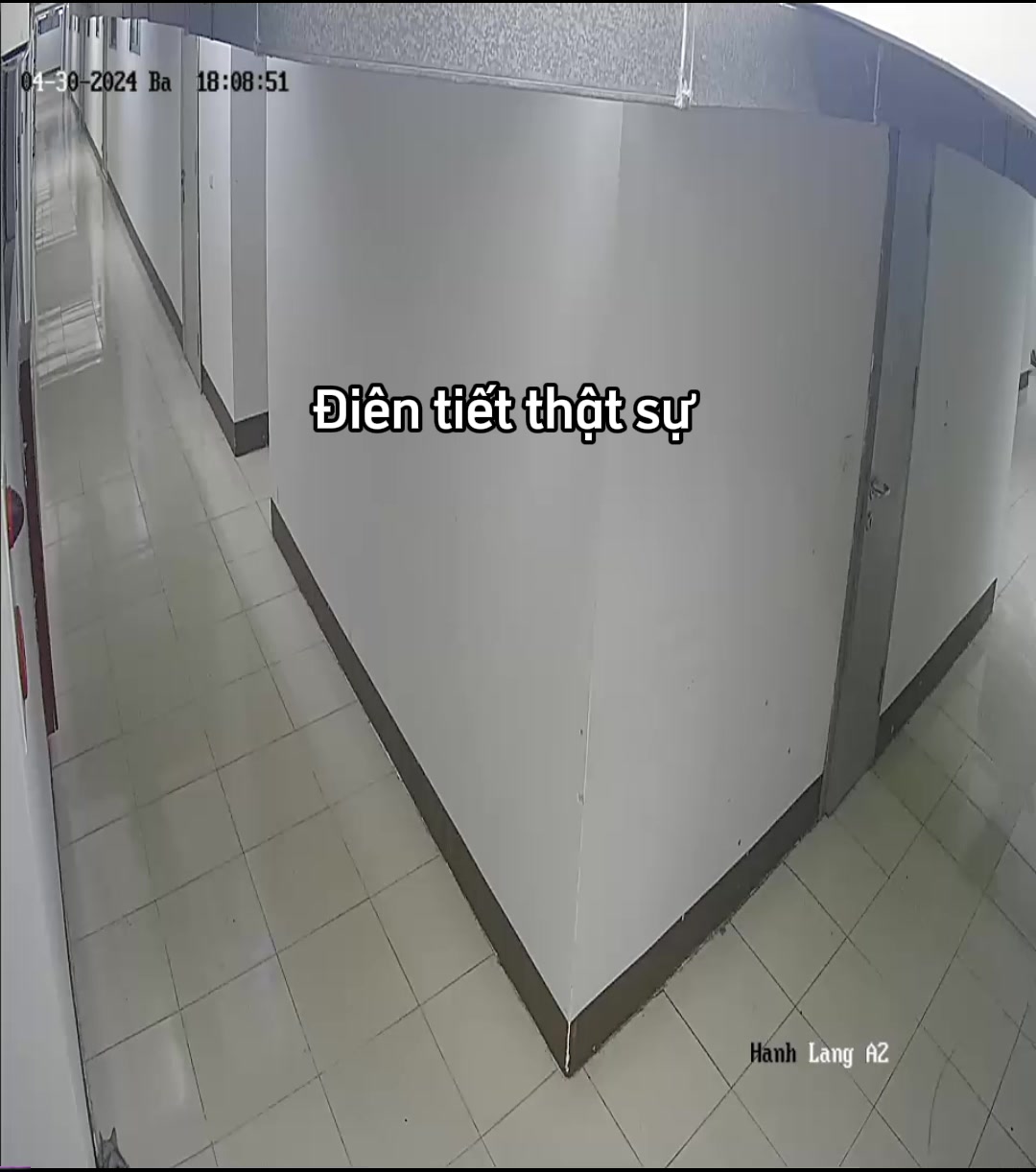 @Ốc V&agrave; Con