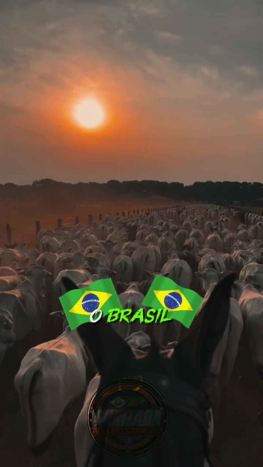@gurizada_da_agropecuária