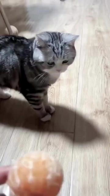 @✞︎✰{태봉}✞︎✰