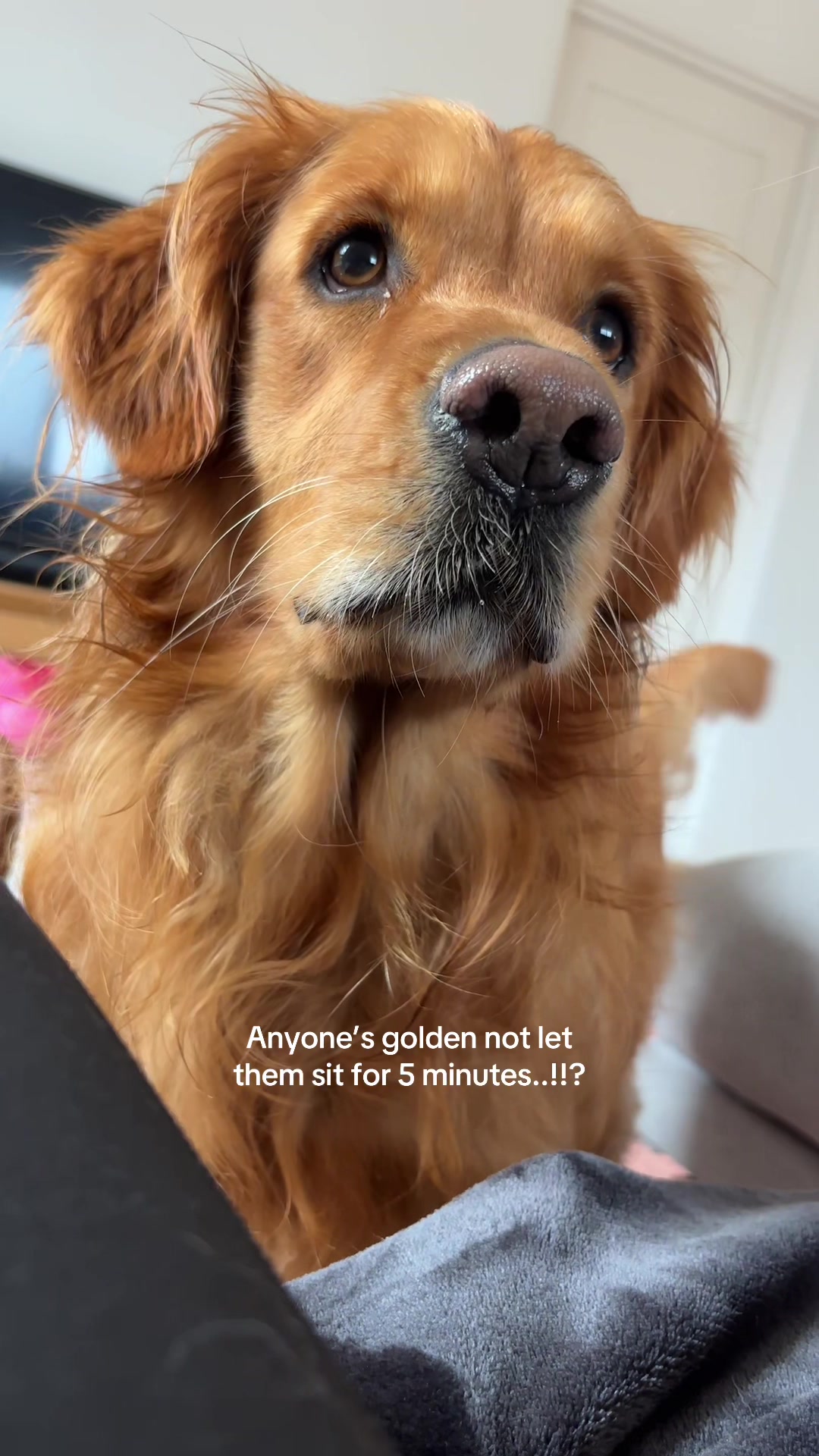@delilah.thegoldengirl